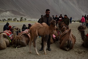 Nubra - Khardung La - Leh